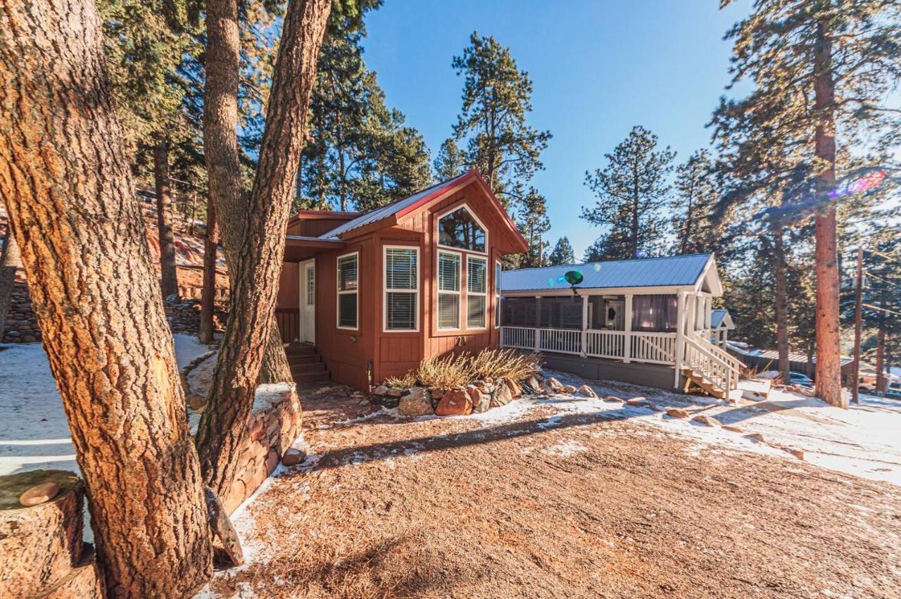 Nature's Dream W/ Deck + Yard + Bbq Apartment *